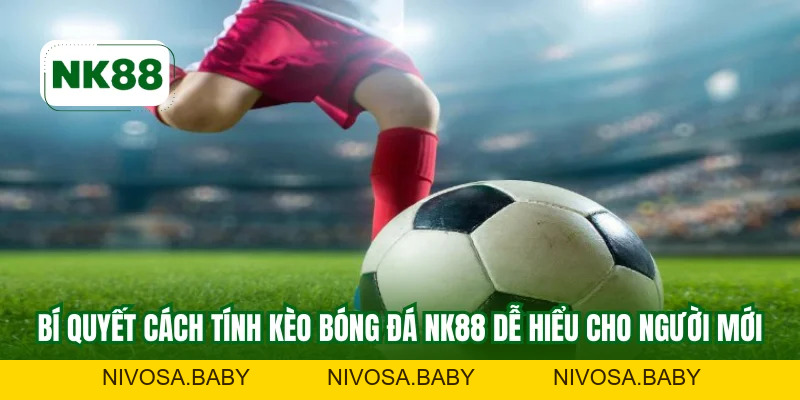 Cách Tính Kèo Bóng Đá NK88 Để Đút Tiền Thưởng Khổng Lồ