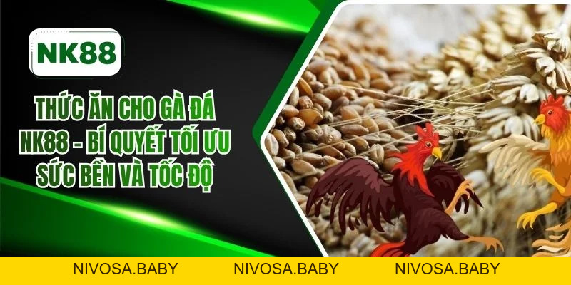 Đá gà - NK88 Casino